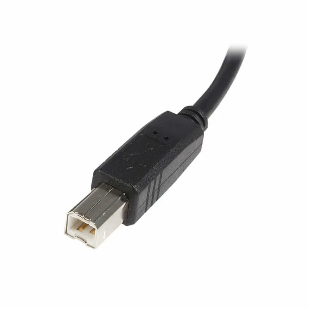 Cabo USB para USB B Startech USB2HAB2M Preto