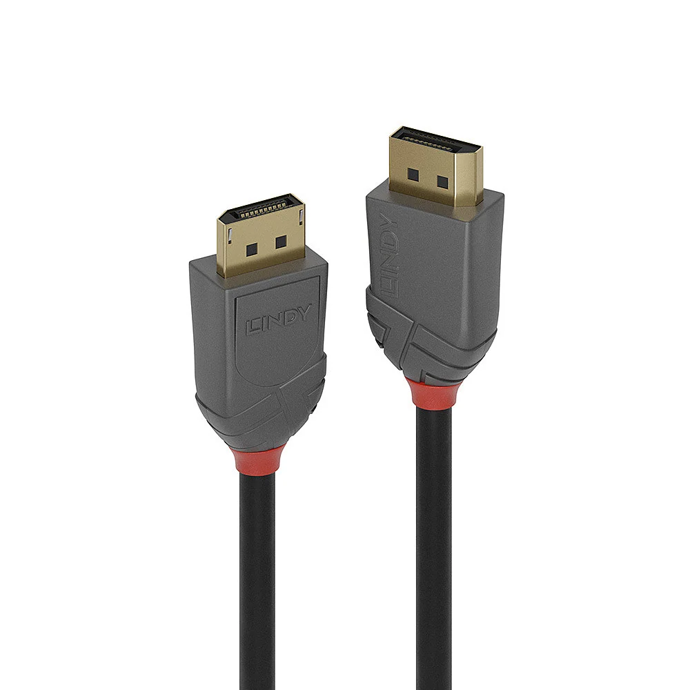 Lindy 36482 cabo DisplayPort 2 m Preto
