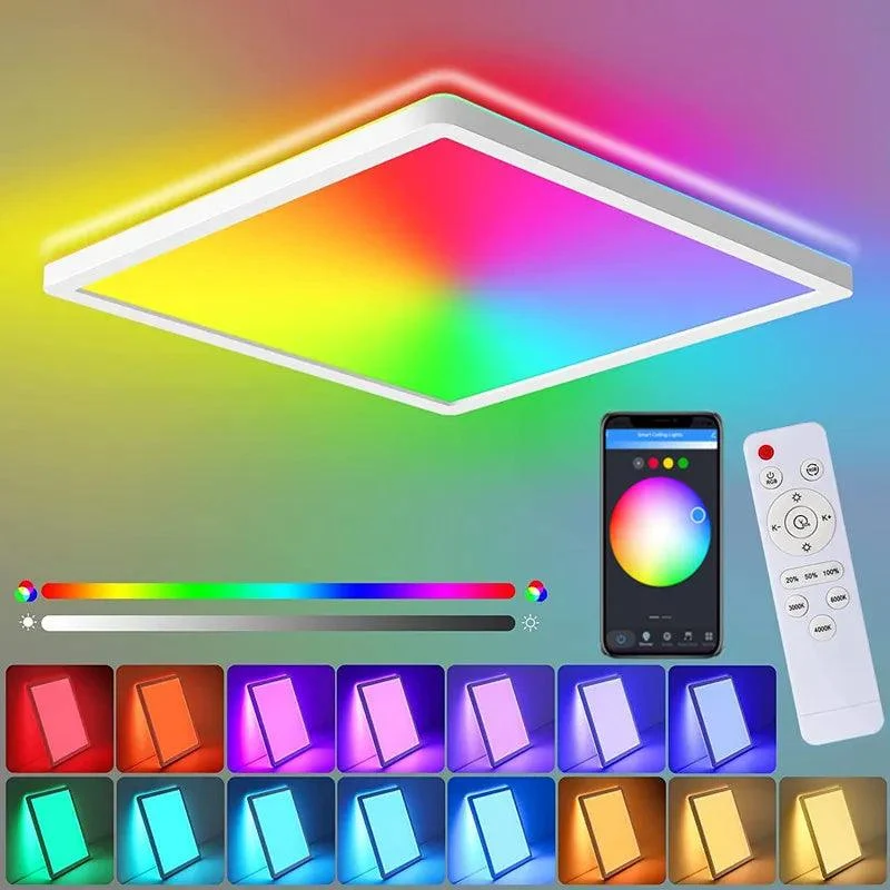 Ceiling Light/WONDERFUL | NFC |