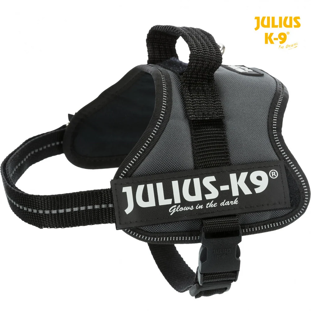Certificado IP68 Peitoral Julius K9 - Antracite