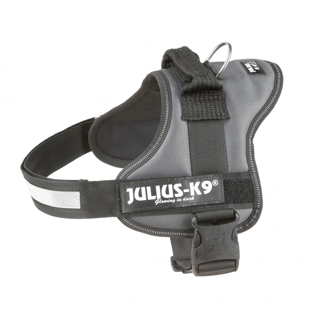 Certificado IP68 Peitoral Julius K9 - Antracite