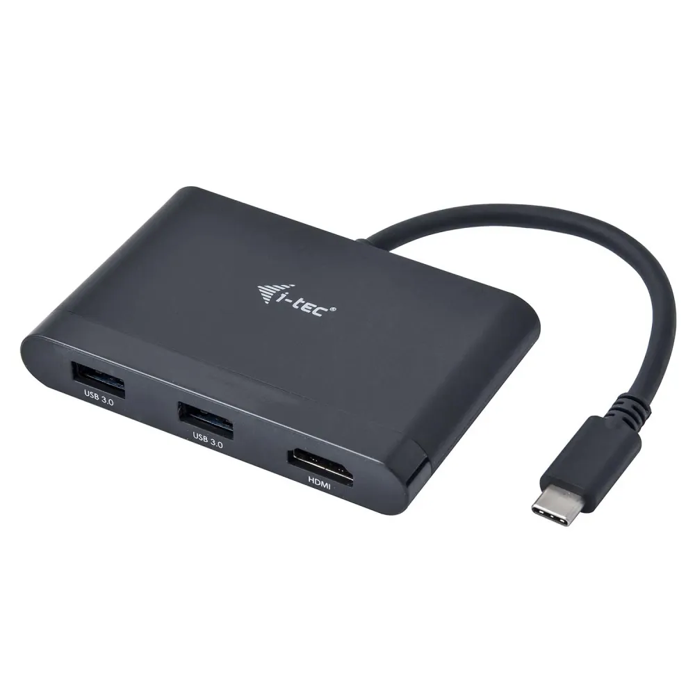 i-tec C31DTPDHDMI painel baí de disco Preto