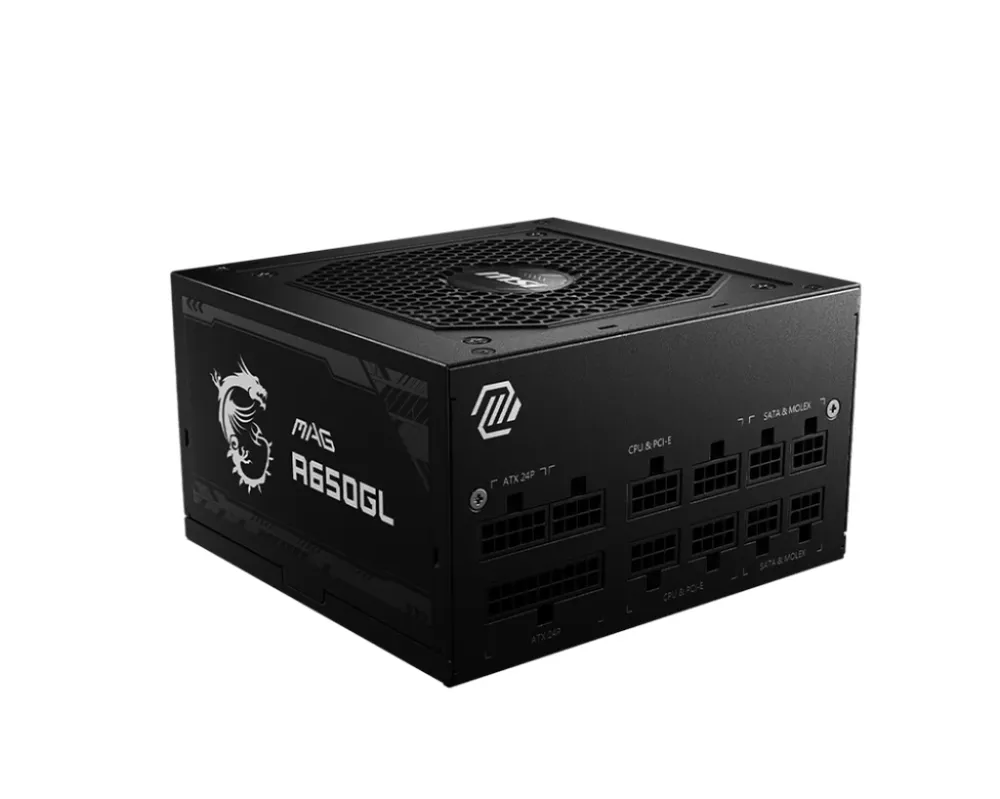 MSI MAG A650GL fonte de alimentação 650 W 20+4 pin ATX ATX Preto