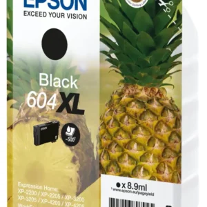 SINGLEPACK BLACK 604XL INK