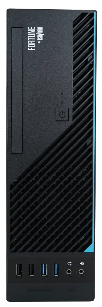 DT TSUNAMI FORTUNE SH12 I5-12400 16G NVME512G DVDRW WIN11PRO 3YRG