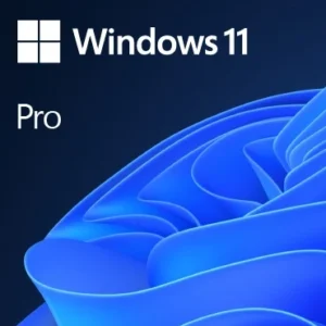 WIN 11 PRO 64BIT PORTUGUESE 1PK DSP OEI DVD
