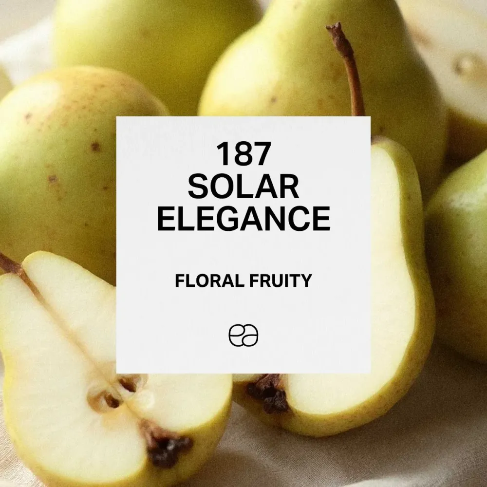 187 Solar Elegance para Atletas