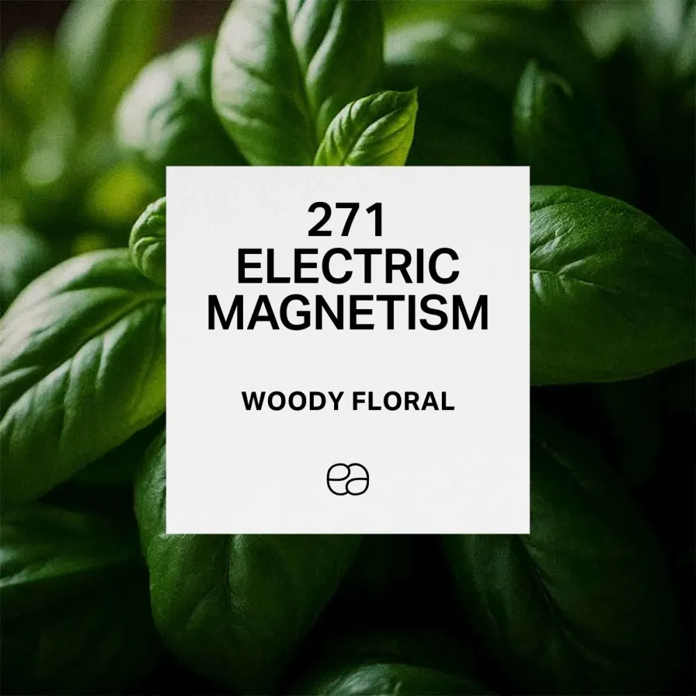271 Electric Magnetism em Preto Fosco