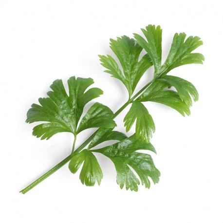 Aipo Natural Lingots® - Vegetais para Corredores
