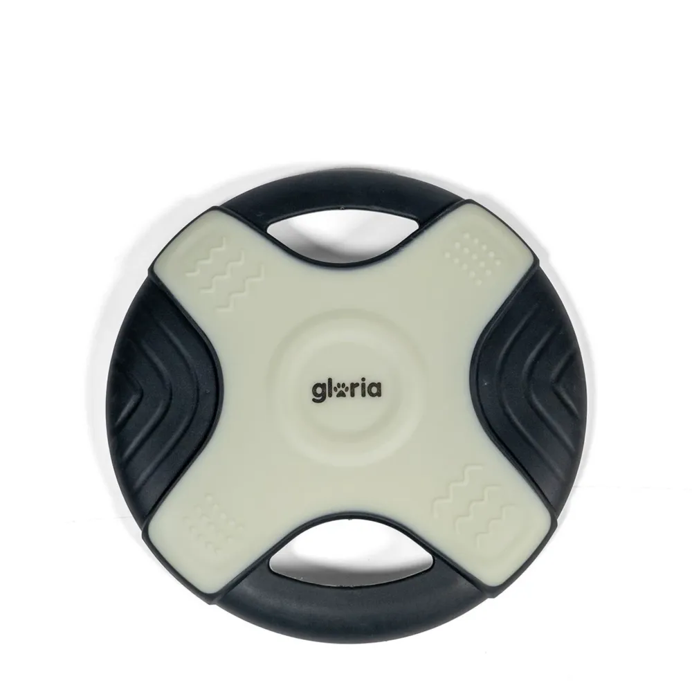 Frisbee brilha no fosco - Gloria