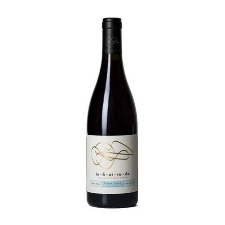 Infinitude Pinot Noir Tinto 2022
