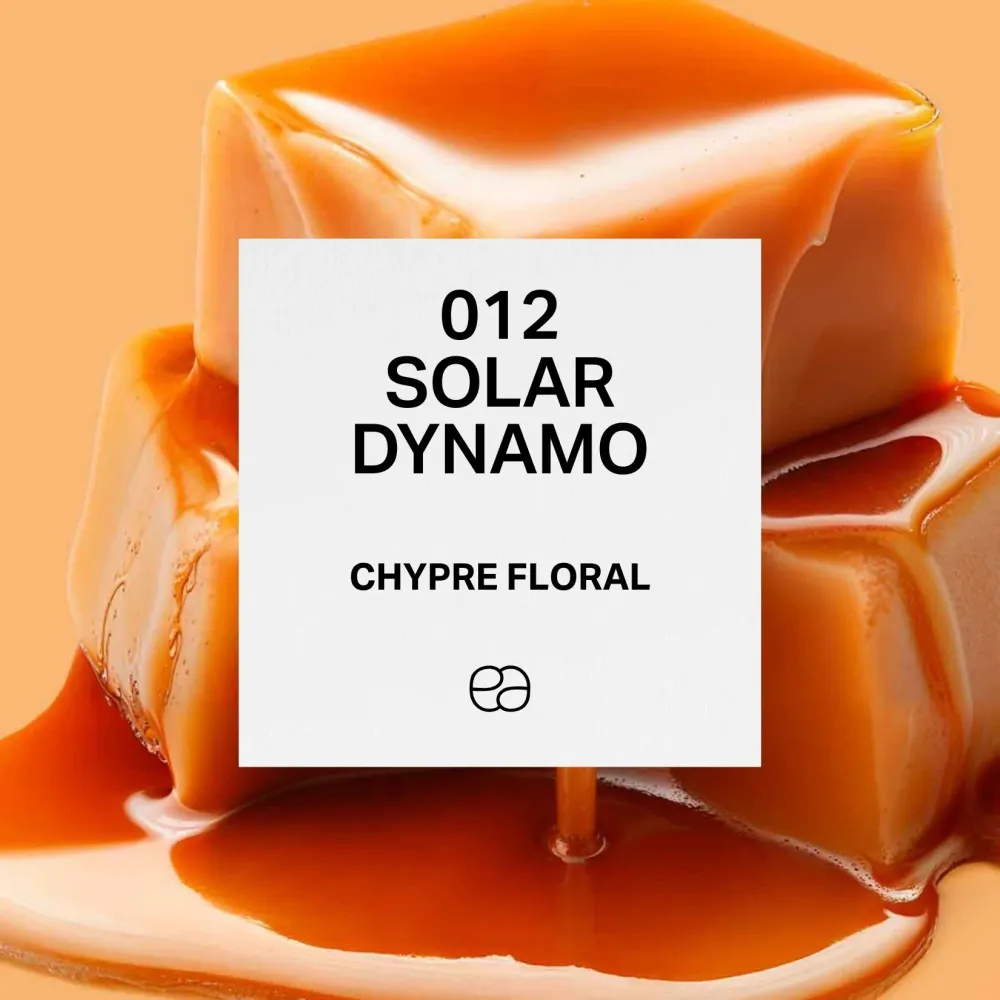 Inteligente 012 Solar Dynamo