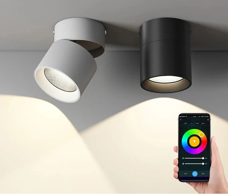Inteligente Spot/twink light