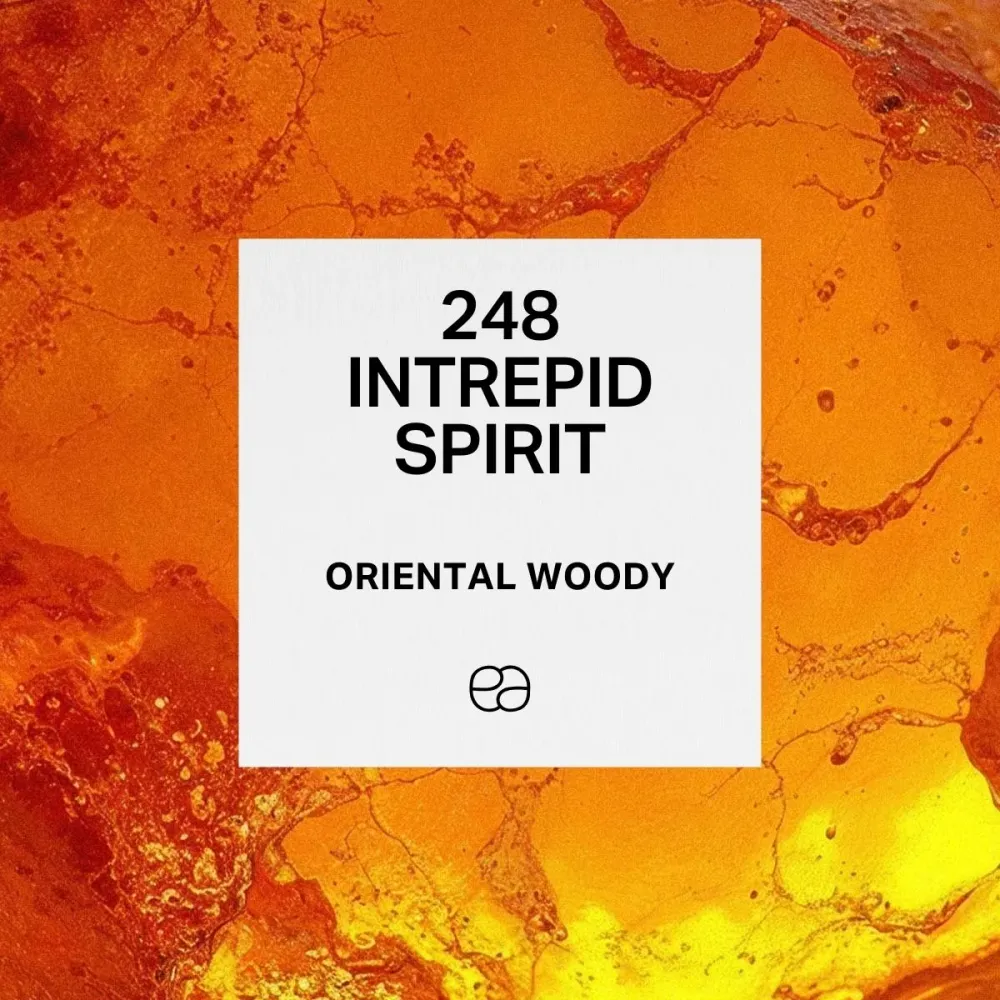 Premium 248 Intrepid Spirit