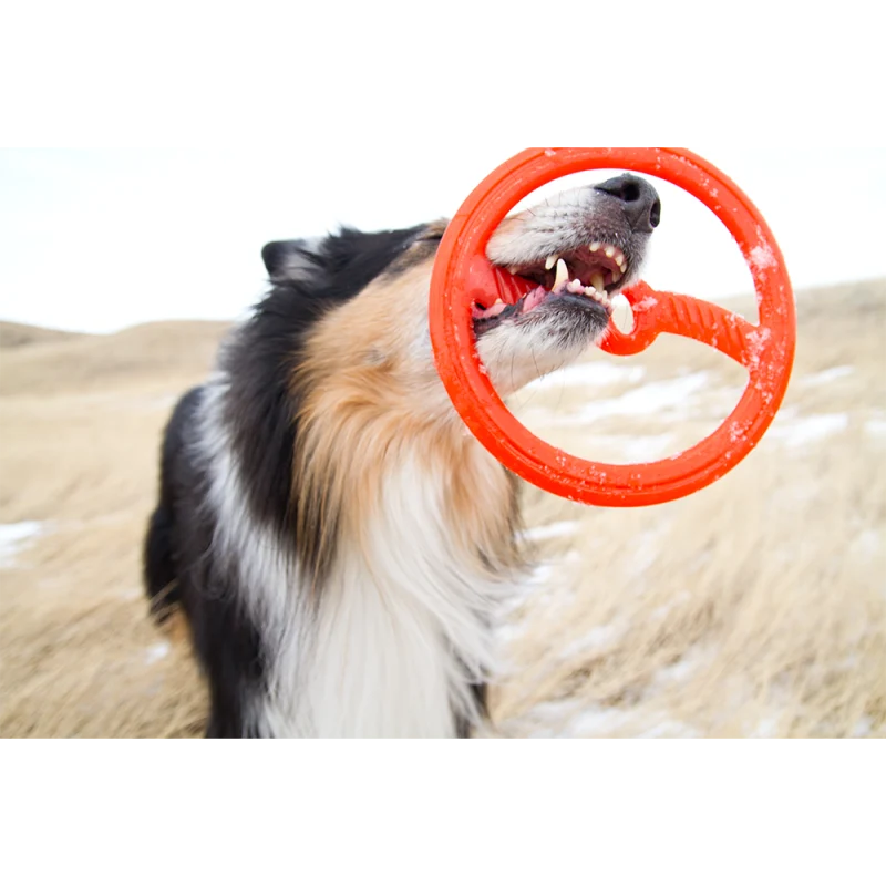 Pulseira Inteligente Bionic Frisbee - Borracha Bionic Patenteada