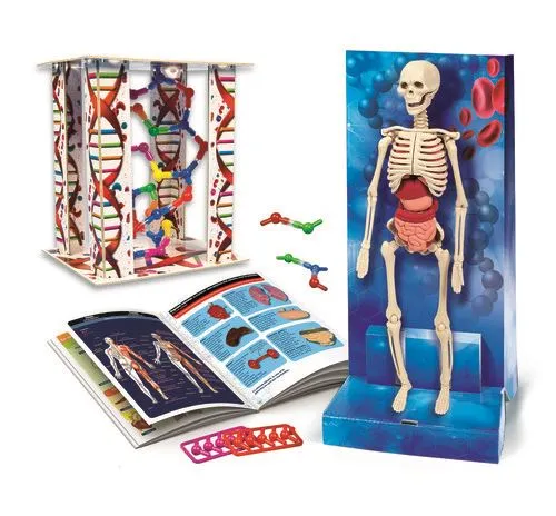 Tecido Sensorizado Lab O Corpo Humano - Clementoni