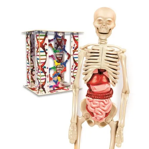 Tecido Sensorizado Lab O Corpo Humano - Clementoni