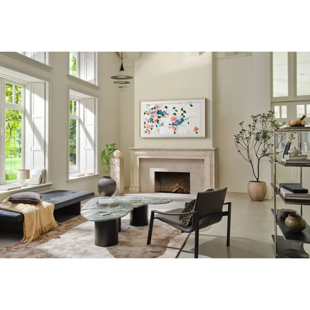 TV Samsung TQ65LS03FWUXXC | 65", QLED, 4K